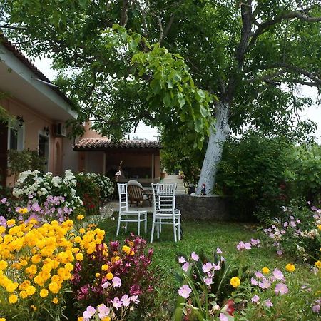 Mina's serene garden house Kontokali Buitenkant foto